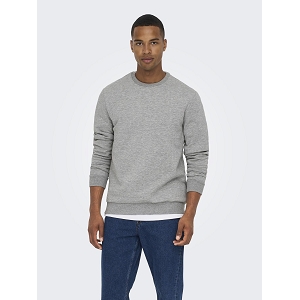 ONLY AND SONS ONSCERES CREW NECK NOOS<br>Gris
