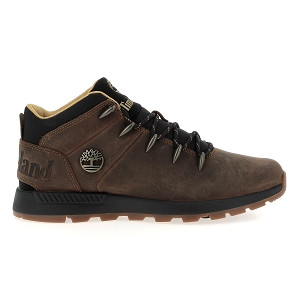 Marron foncé