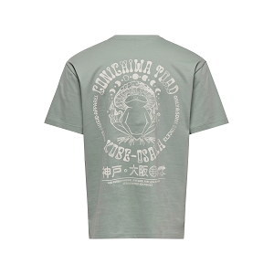 ONLY AND SONS ONSCHAMPI LIFE TOAD RLX SS TEE<br>Vert