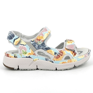 Multicolore