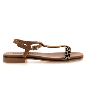 Marron multi