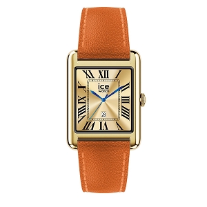 ICE WATCH CE SMART TKS 2.0<br>Marron or