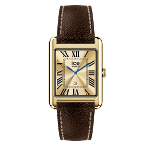 ICE WATCH CE SMART TKS 2.0<br>Marron foncé