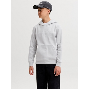 JACK AND JONES KIDS JJECORP LOGO SWEAT HOOD NOOS JNR<br>Gris