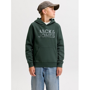 JACK AND JONES KIDS JJECORP LOGO SWEAT HOOD NOOS JNR<br>Vert foncé