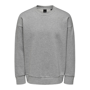  ONSDAN LIFE RLX HEAVY SWEAT<br>Gris  