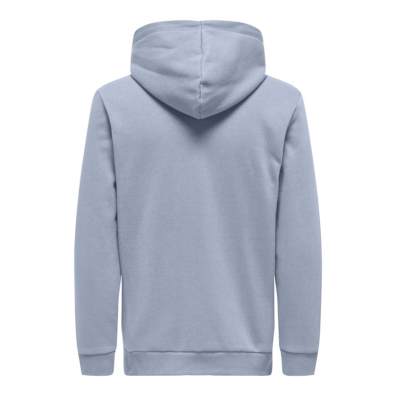 Only and sons ONSCERES HOODIE SWEAT NOOS1062702_6