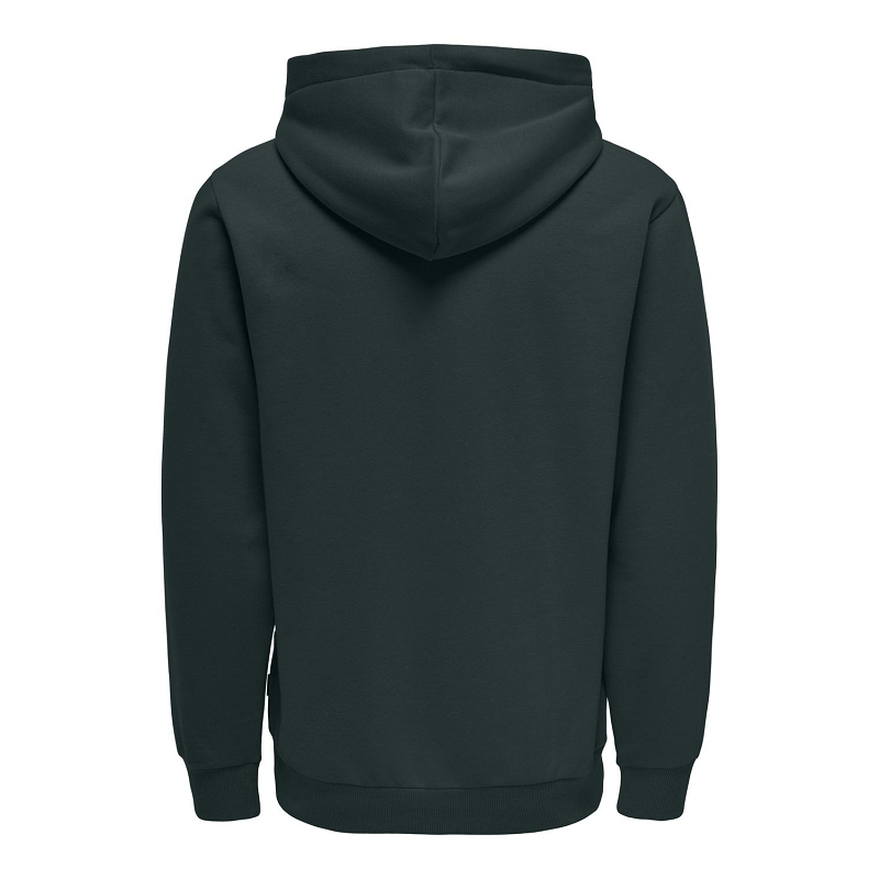 Only and sons ONSCERES HOODIE SWEAT NOOS1062703_2