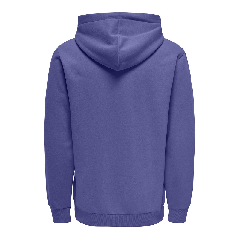 Only and sons ONSCERES HOODIE SWEAT NOOS1062704_2