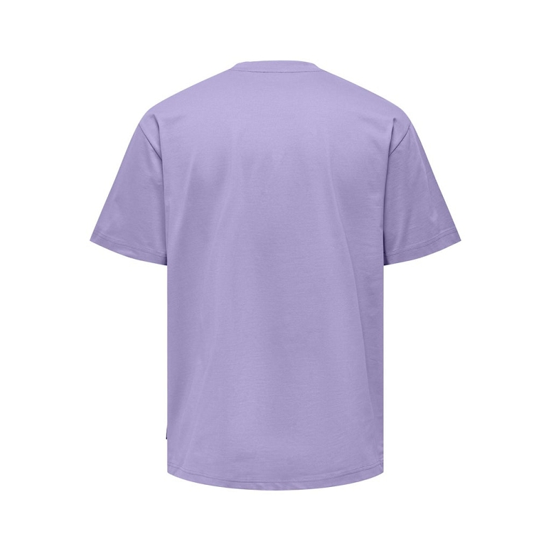 Only and sons ONSFRED LIFE RLX SS TEE NOOS1288303_2