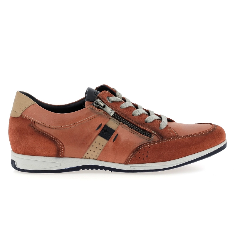 Fluchos F1282