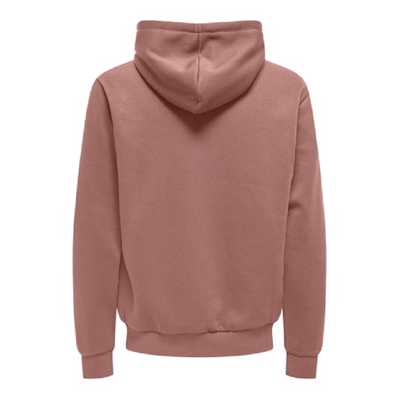 Only and sons ONSCERES HOODIE SWEAT NOOS1517203_2