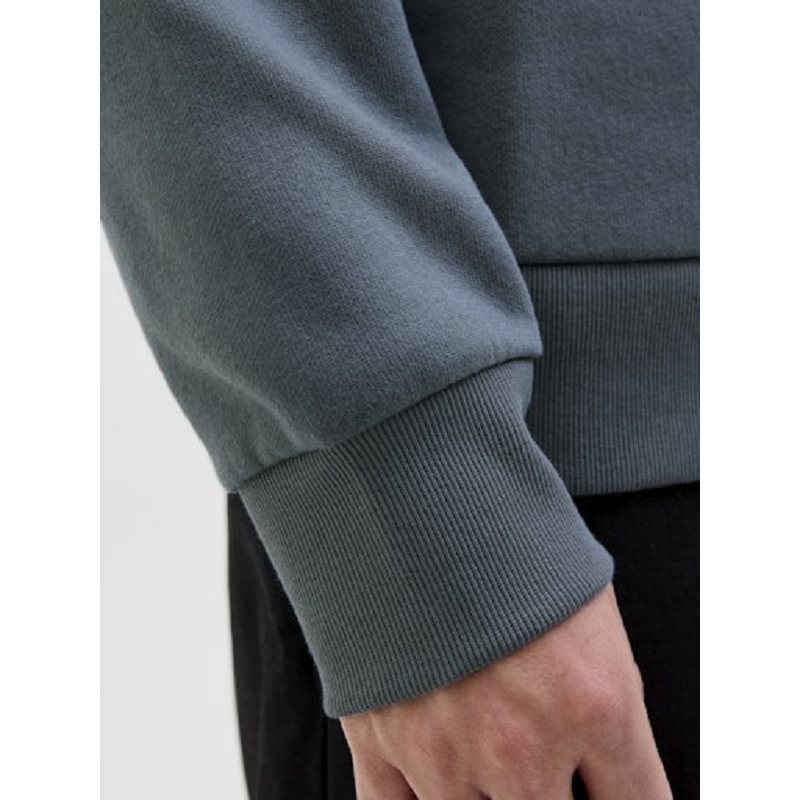 Jack and jones JJELOGO SWEAT HOOD 2 COL 2526 NOOS1521102_5