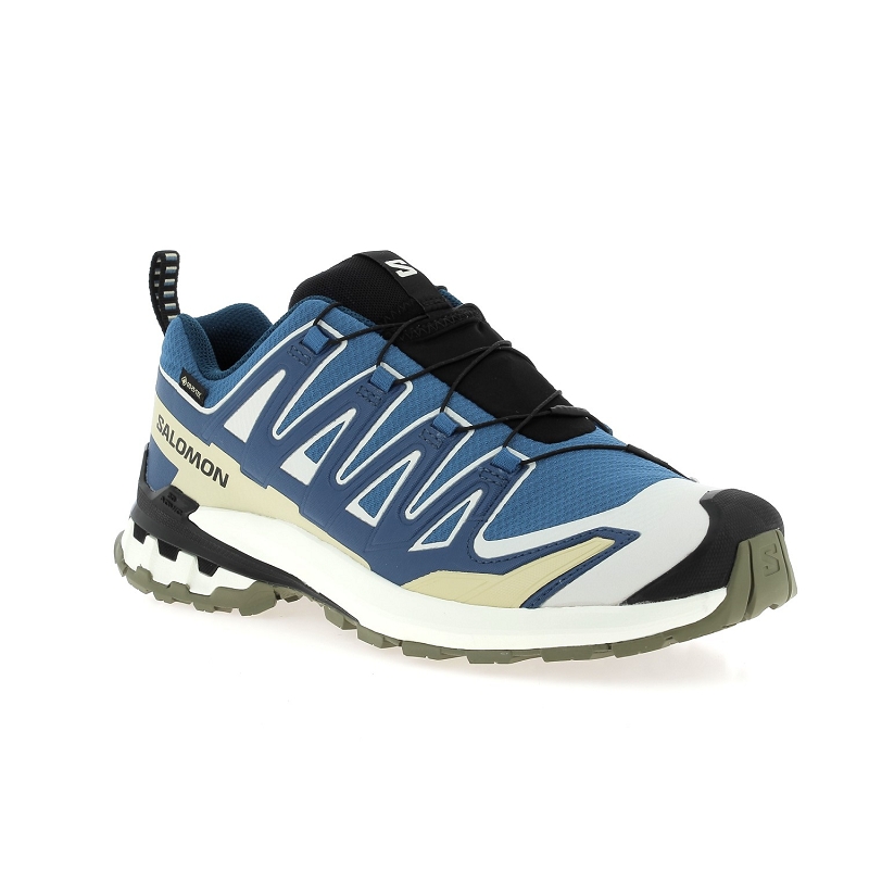 Salomon XA PRO 3D V9 GTX1729903_2