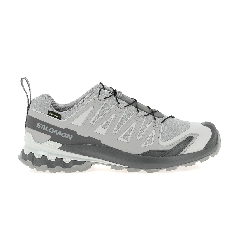 Salomon XA PRO 3D V9 GTX
