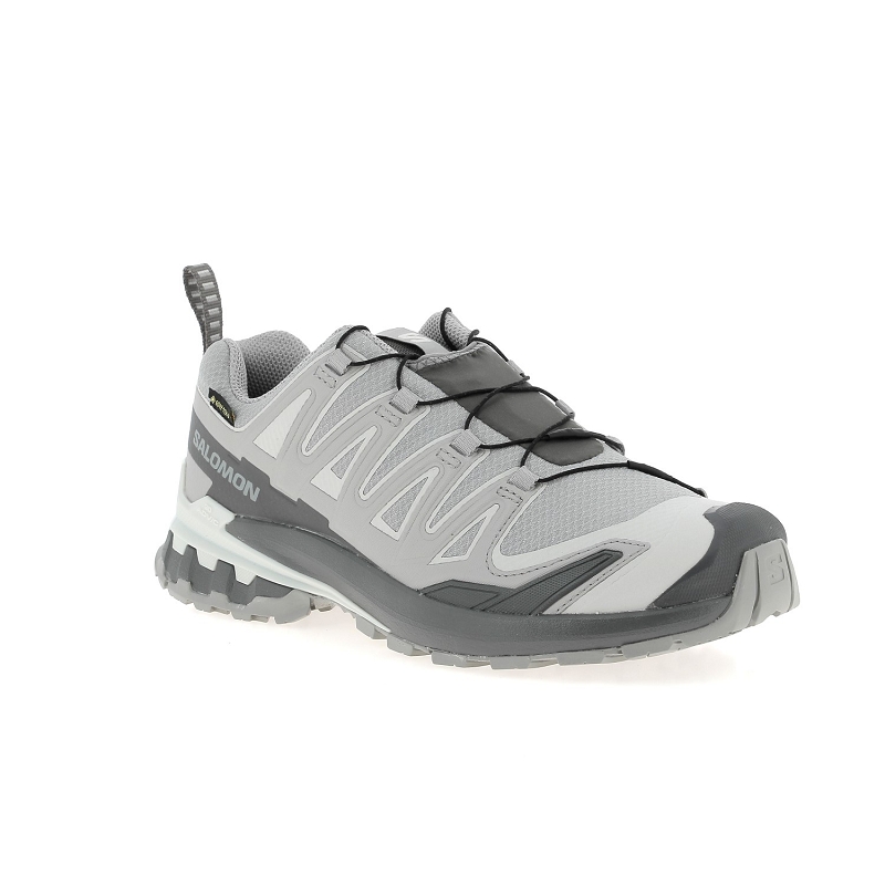 Salomon XA PRO 3D V9 GTX1729905_2