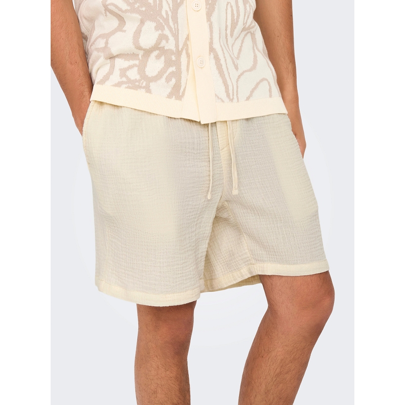 Only and sons ONSTELPAS 0158 SHORTS