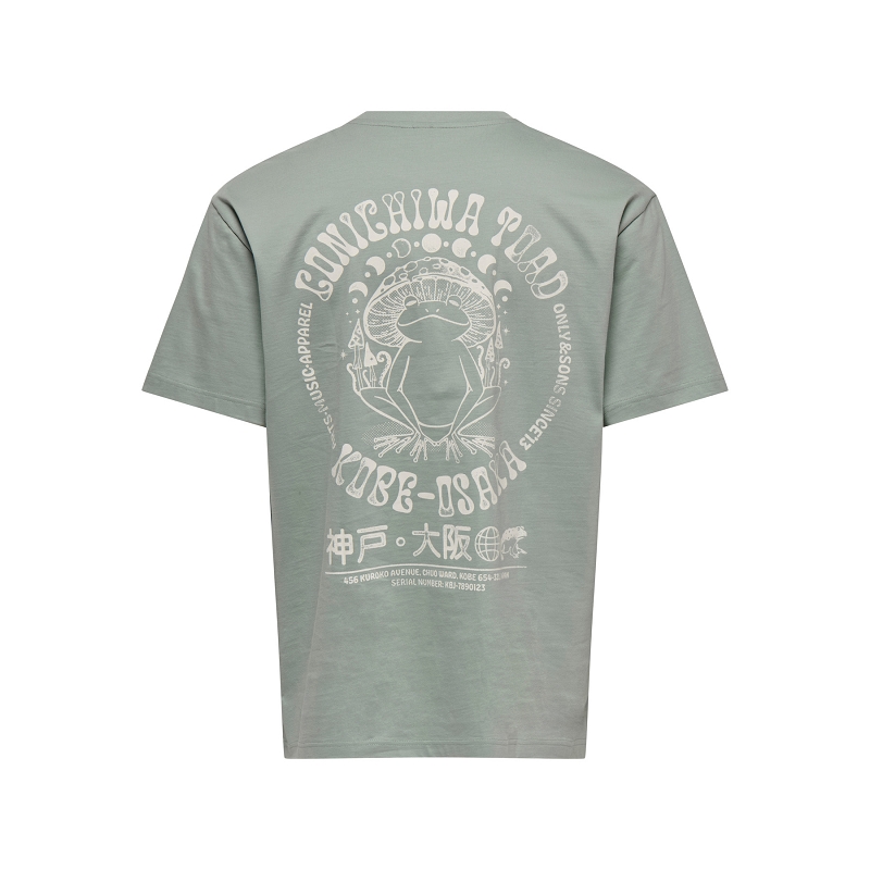 Only and sons ONSCHAMPI LIFE TOAD RLX SS TEE