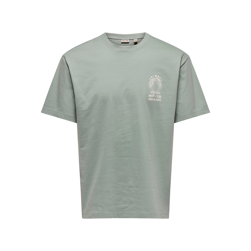 Only and sons ONSCHAMPI LIFE TOAD RLX SS TEE1896802_2