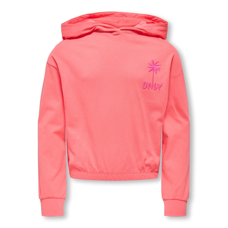 Only kids  name it KOGAMANDACOOPER LIFE LS HOOD UB FR SWT1908401_2