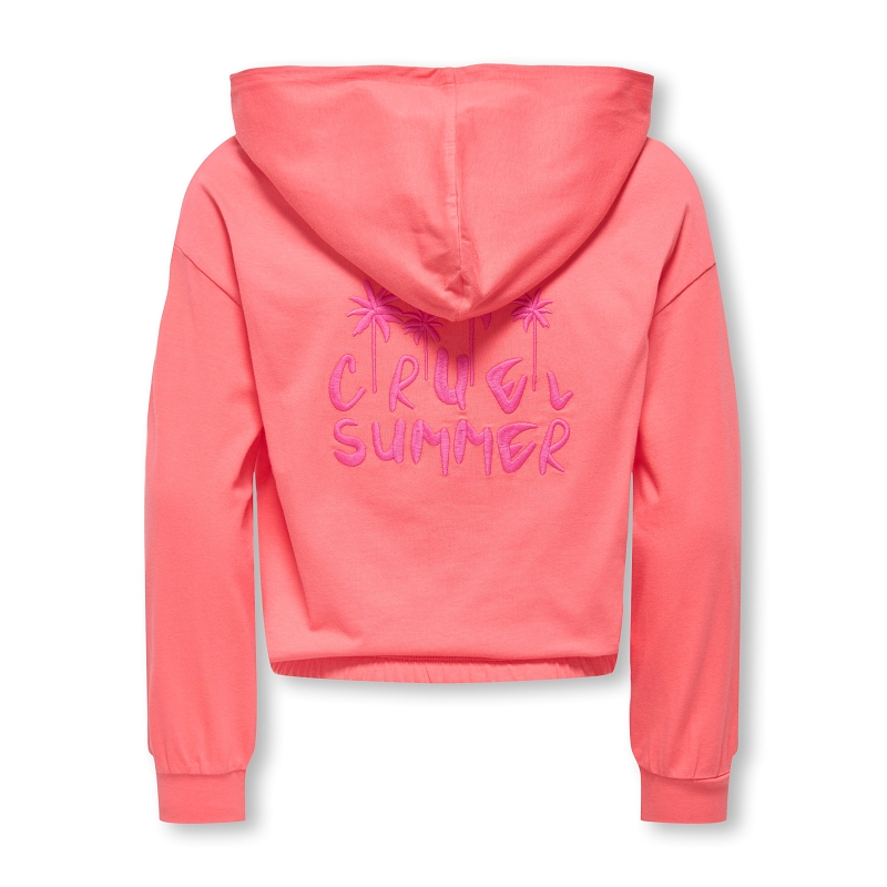 Only kids  name it KOGAMANDACOOPER LIFE LS HOOD UB FR SWT1908401_3