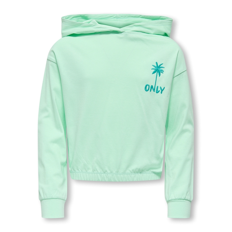 Only kids  name it KOGAMANDACOOPER LIFE LS HOOD UB FR SWT1908402_2