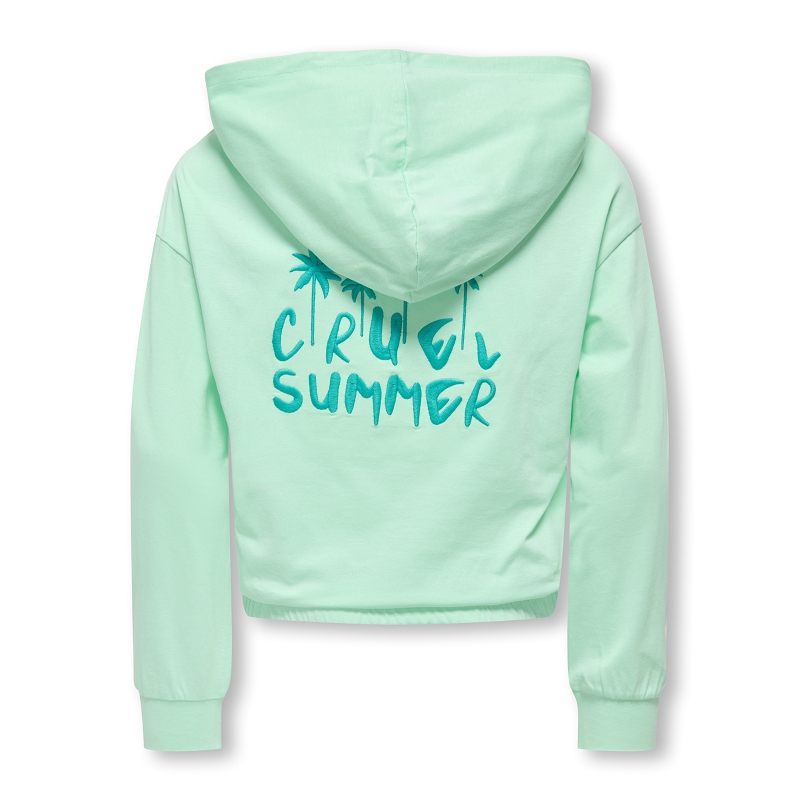 Only kids  name it KOGAMANDACOOPER LIFE LS HOOD UB FR SWT1908402_3