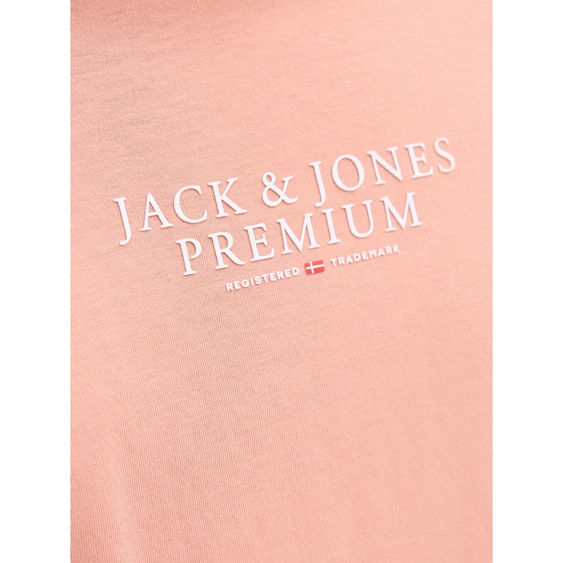 Jack and jones JPRBLUARCHIE SS TEE CREW NECK NOOS1973201_5