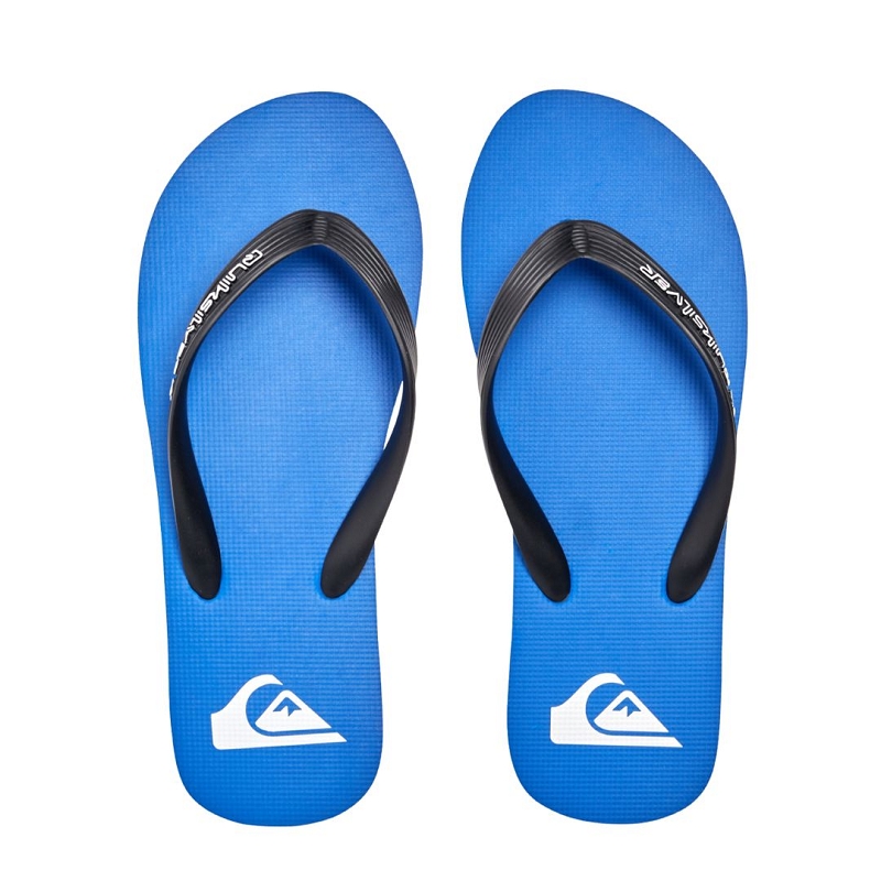 Quiksilver MOLOKAI CORE