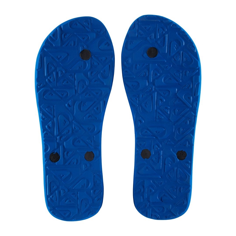 Quiksilver MOLOKAI CORE2119201_2