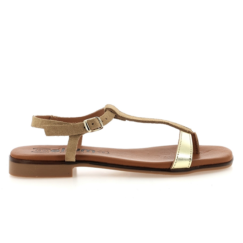 Elium 10649