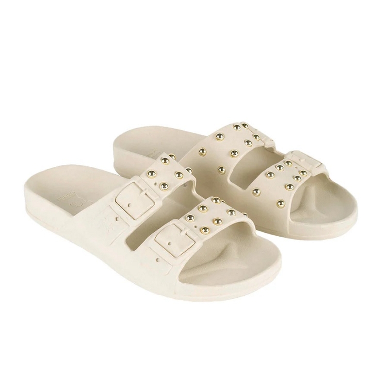 Cacatoes FLORIANOPOLIS2354803_2