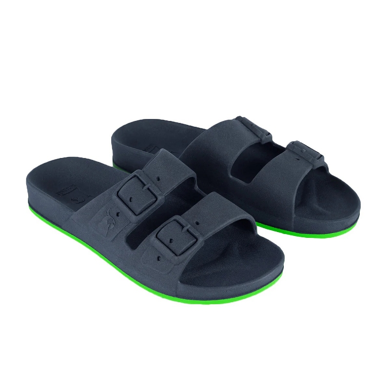 Cacatoes BRASILIA2355002_2