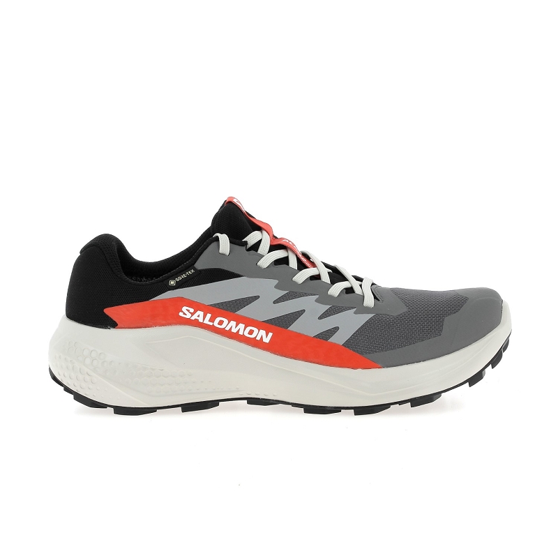Salomon ALPHAGLIDE GTX