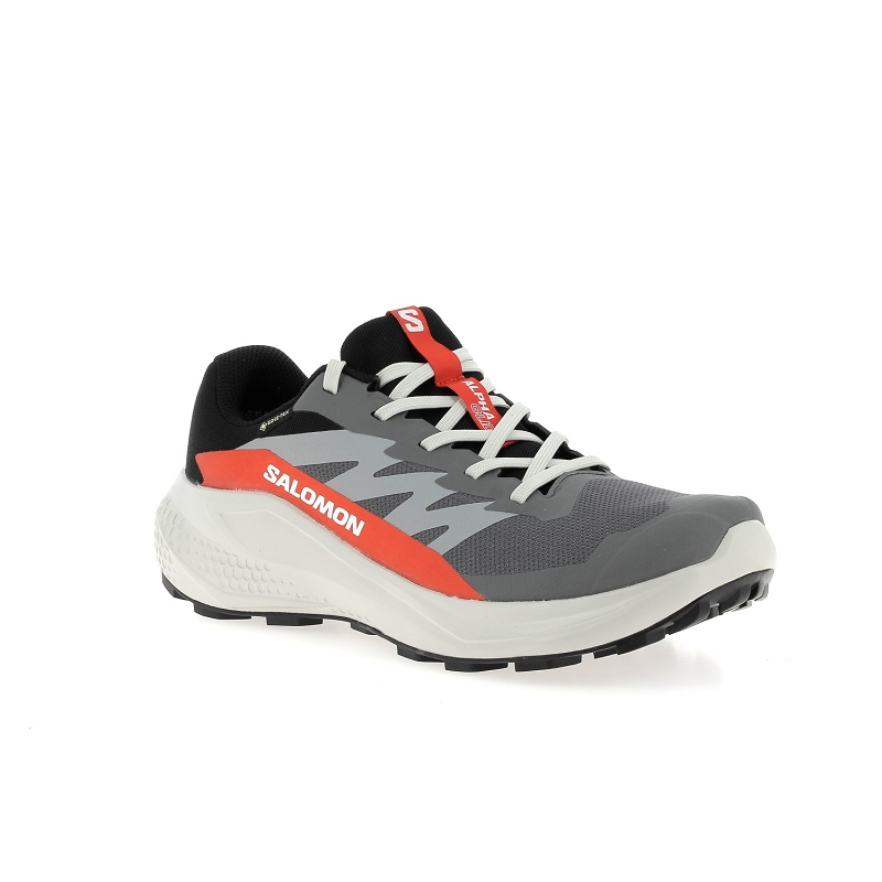 Salomon ALPHAGLIDE GTX2447201_2