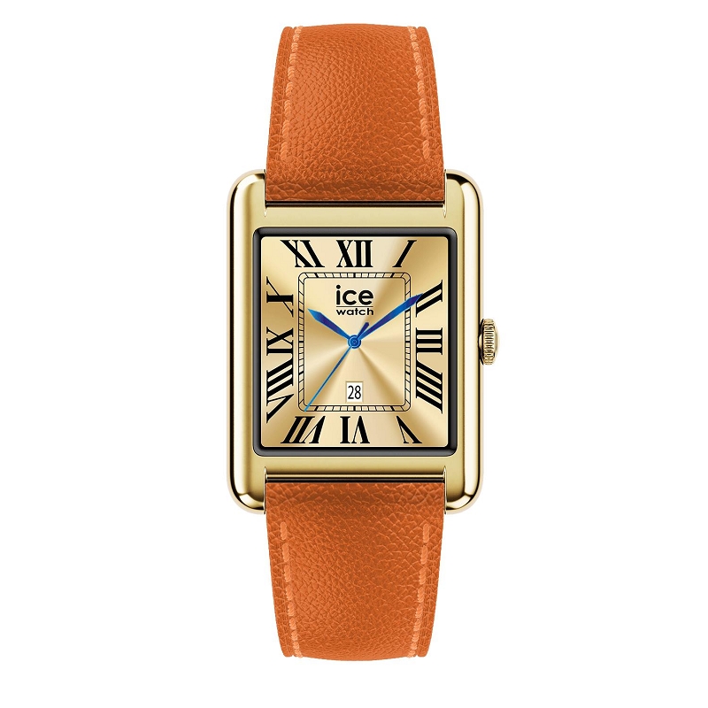 Ice watch CE SMART TKS 2.0
