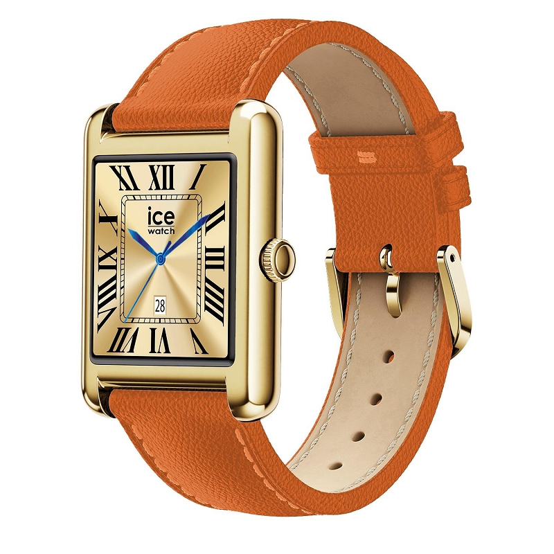 Ice watch CE SMART TKS 2.02587001_2