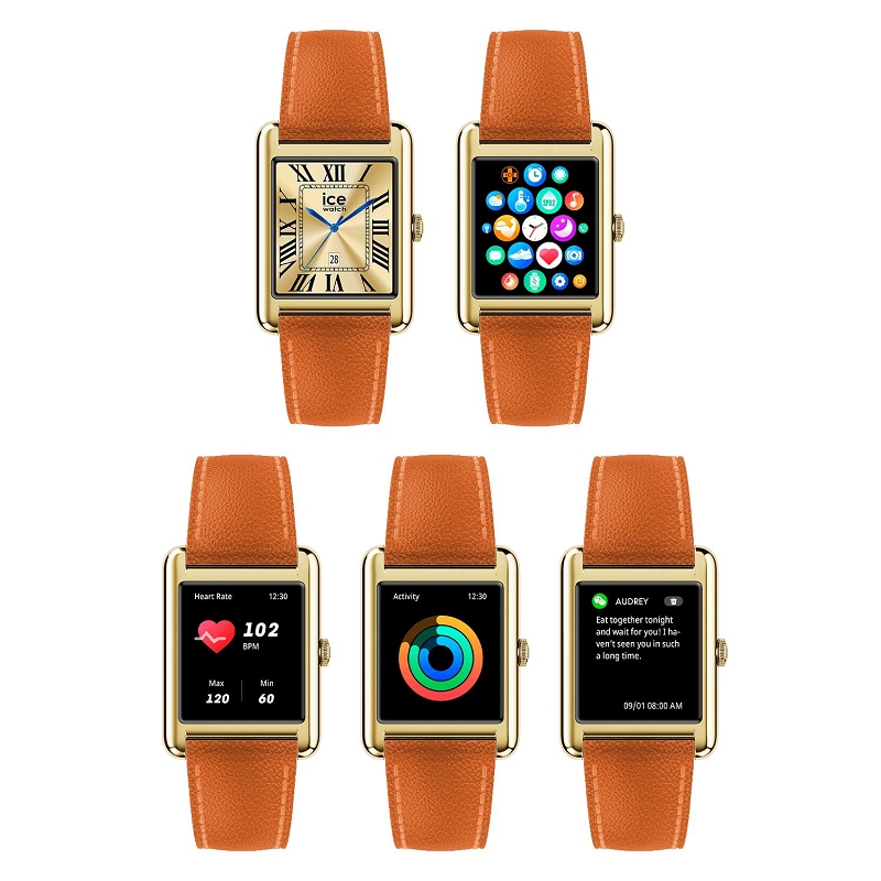 Ice watch CE SMART TKS 2.02587001_4