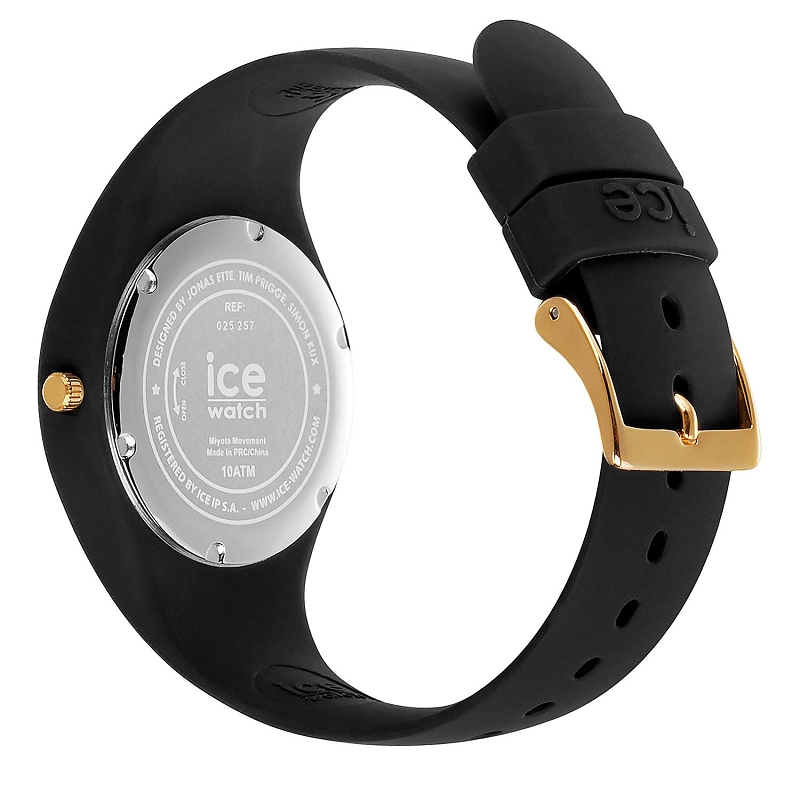 Ice watch ICE CHAMPAGNE2588001_4