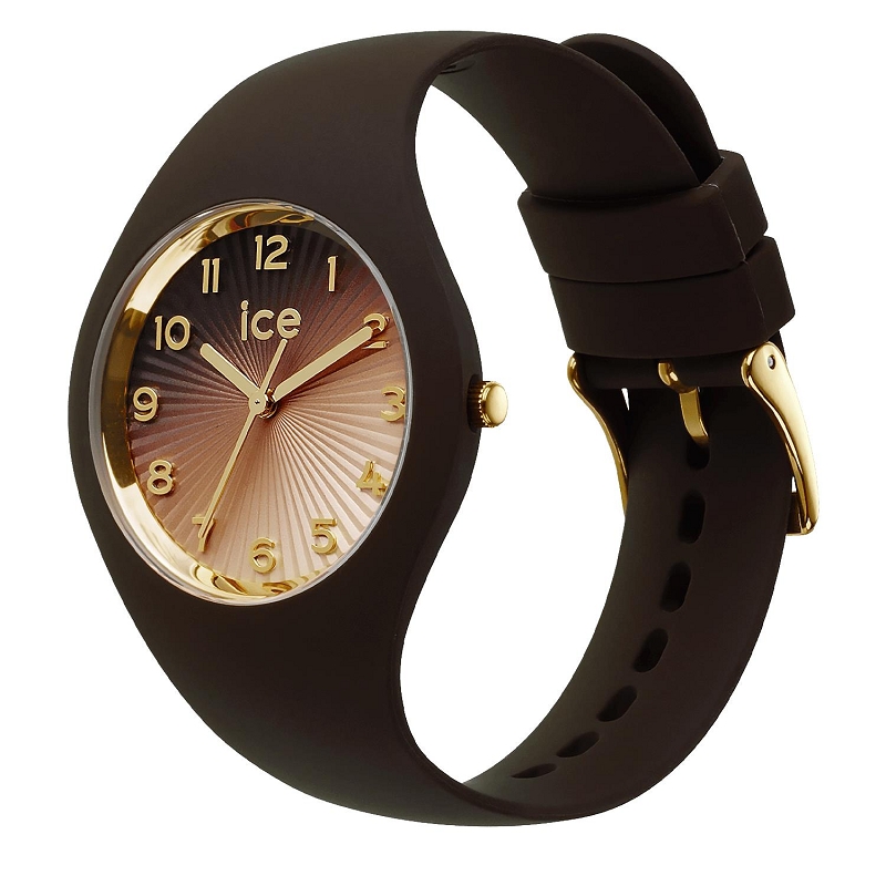 Ice watch ICE CHAMPAGNE2588004_2
