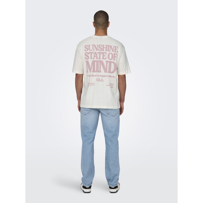 Only and sons ONSKENNY RLX TEXT SS TEE3133602_4