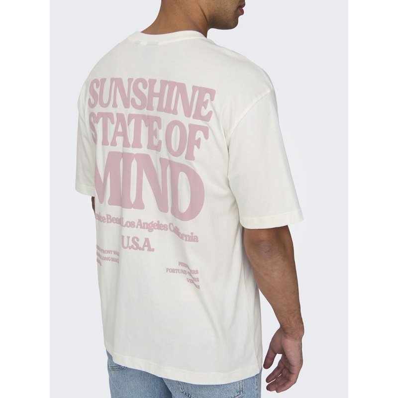 Only and sons ONSKENNY RLX TEXT SS TEE3133602_6
