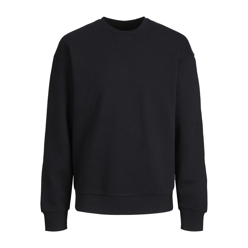 Jack and jones plus JJEBRADLEY SWEAT CREW NOOS PLS