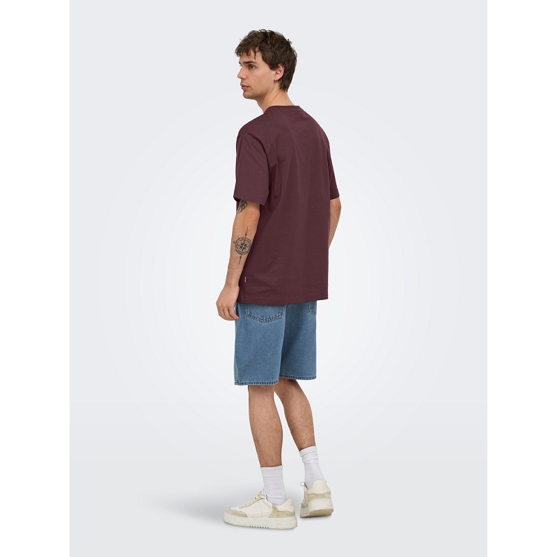 Only and sons ONSFRED LIFE RLX SS TEE NOOS3162802_5