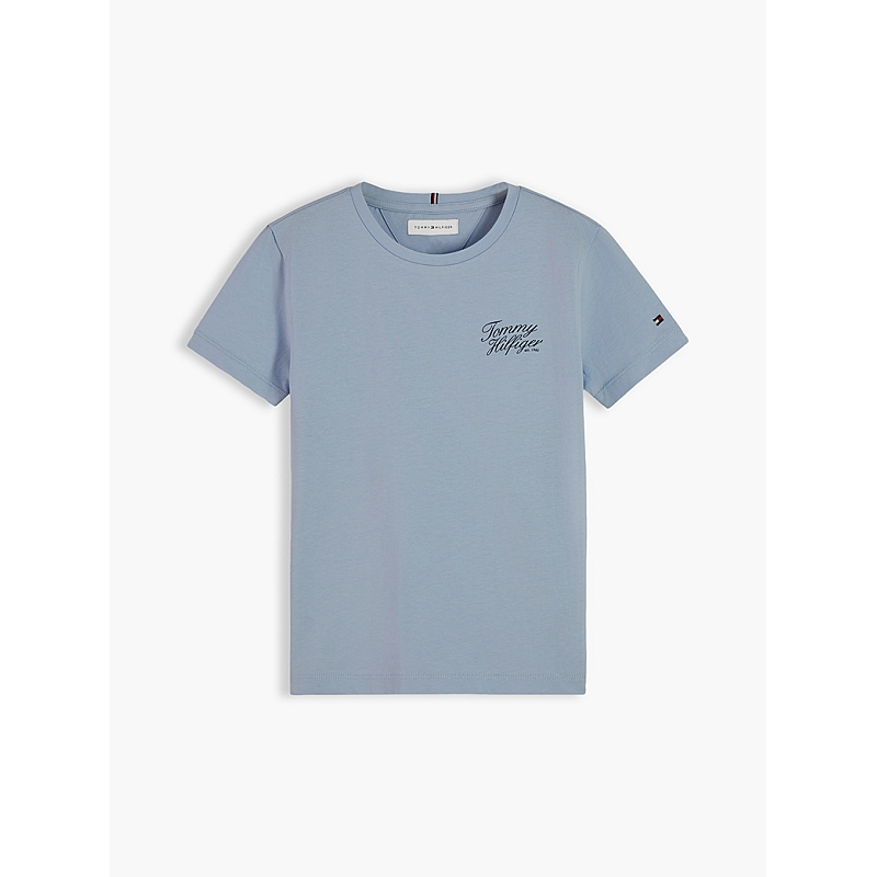 Tommy jeans KG0KG09633C1O  TOMMY HILFIGER SCRIPT TEE SS