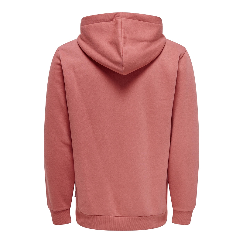 Only and sons ONSCERES HOODIE SWEAT NOOS8893702_2