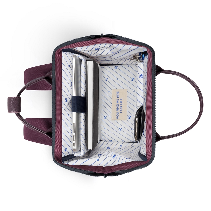 Cabaia ADVENTURER9492169_5