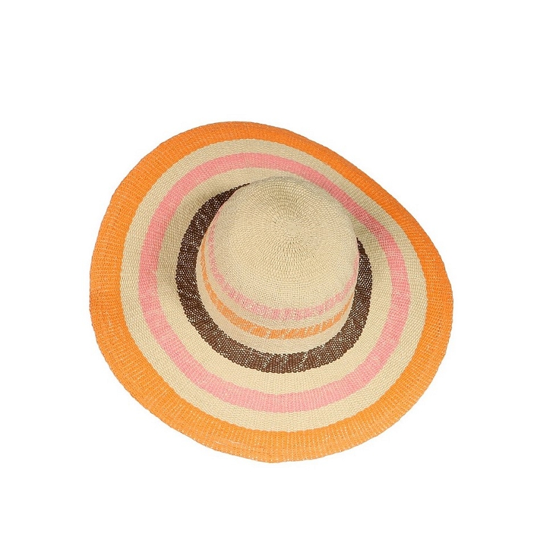 Le voyage en panier CP002