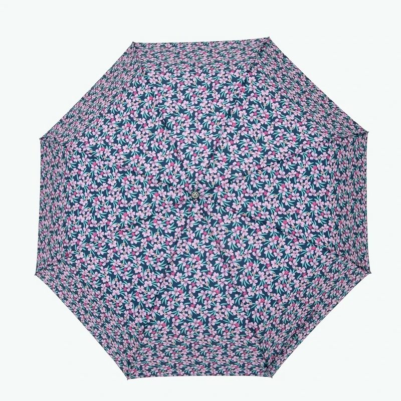 Cabaia PARAPLUIE9546205_4